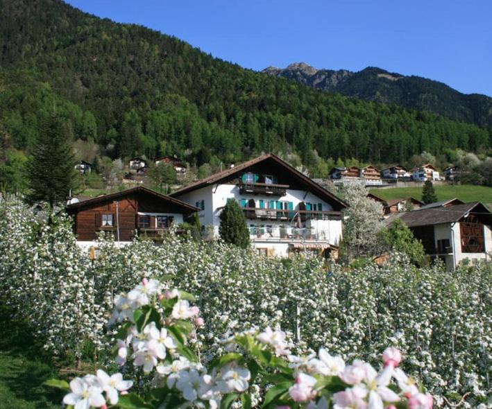 Residence Streitlhof Tirolo Eksteriør billede